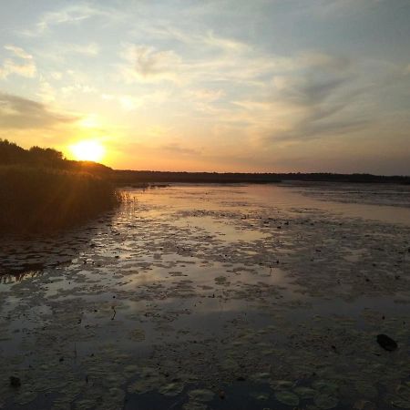 Domek Na Terenie Poleskiego Parku Narodowego Urszulin  Bagian luar foto